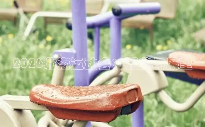 熊猫体育app官方入口